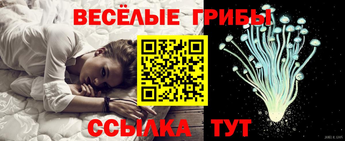 Алексин  где продают наркотики  Вход с VPN  Псилоцибиновые грибы Psilocybe 